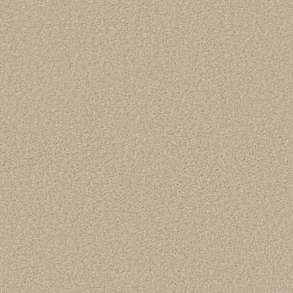 TEXTURE BCF