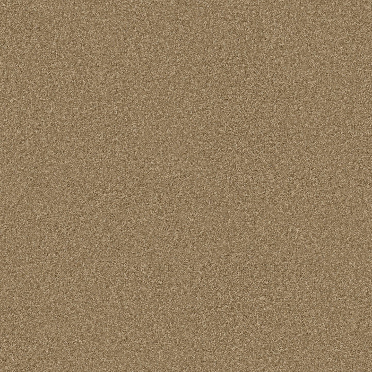 TEXTURE BCF