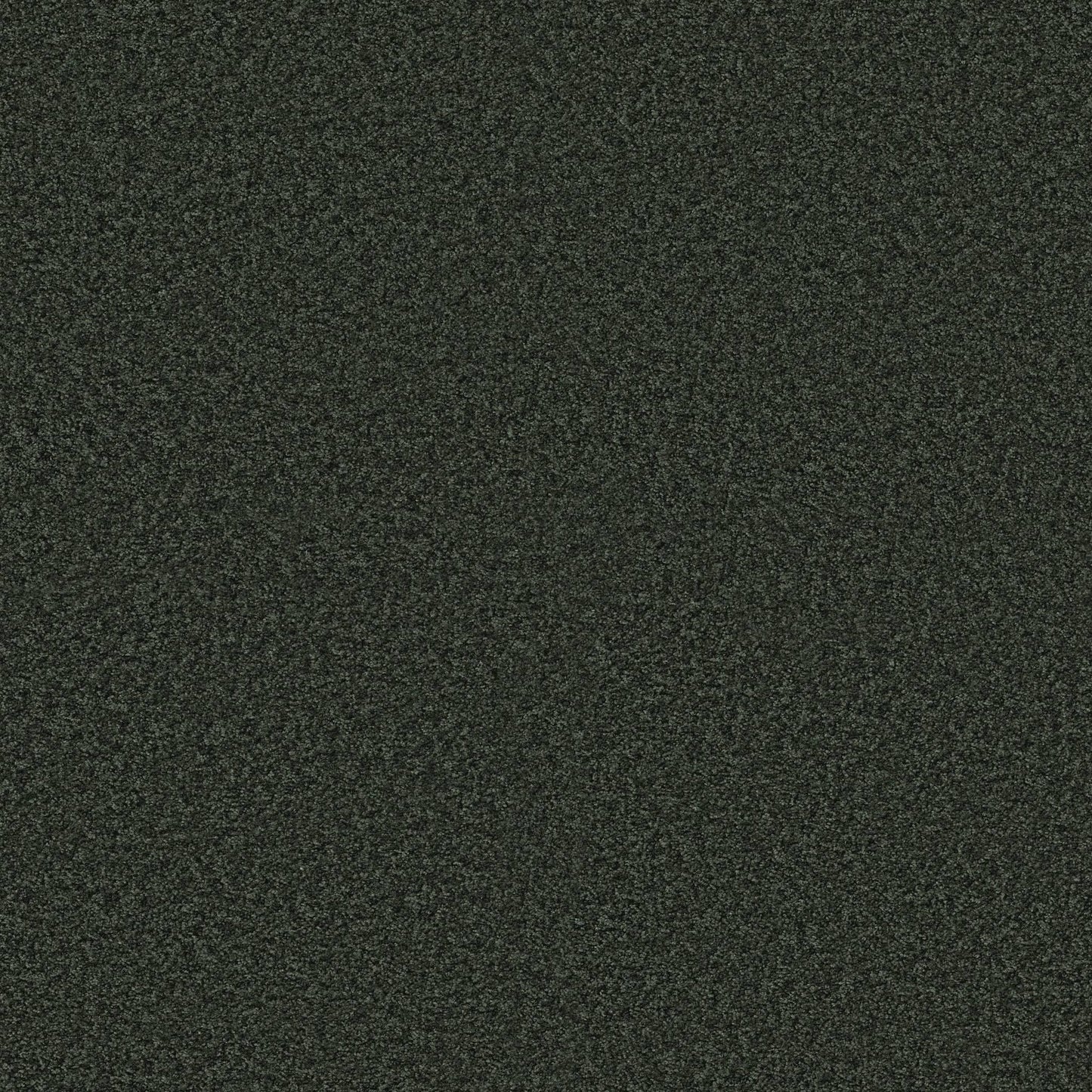 TEXTURE BCF