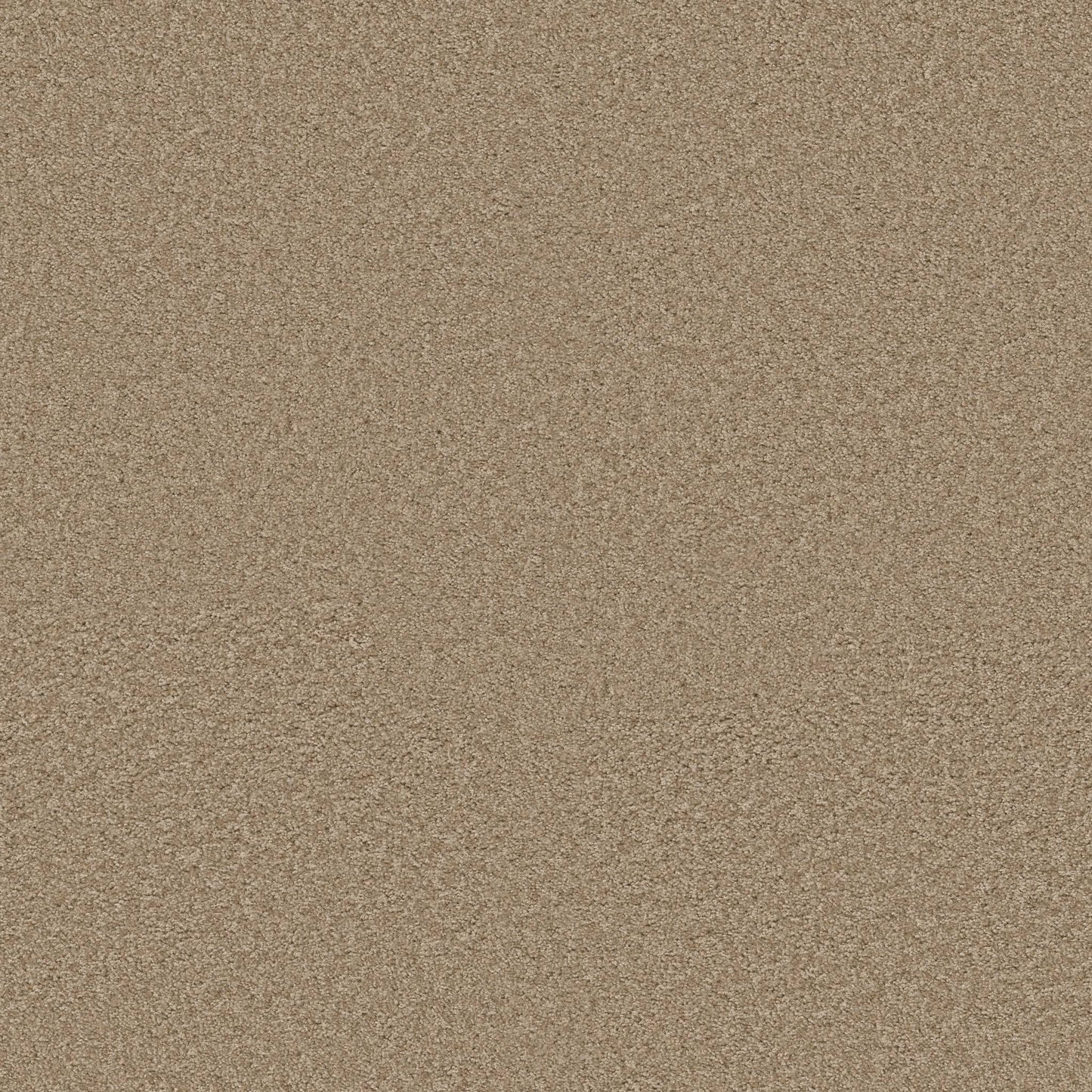 TEXTURE BCF
