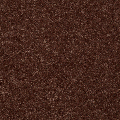 PET BCF