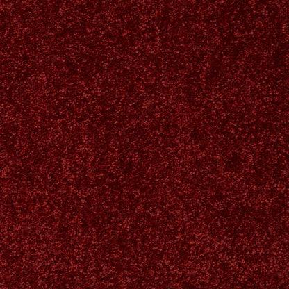 PET BCF