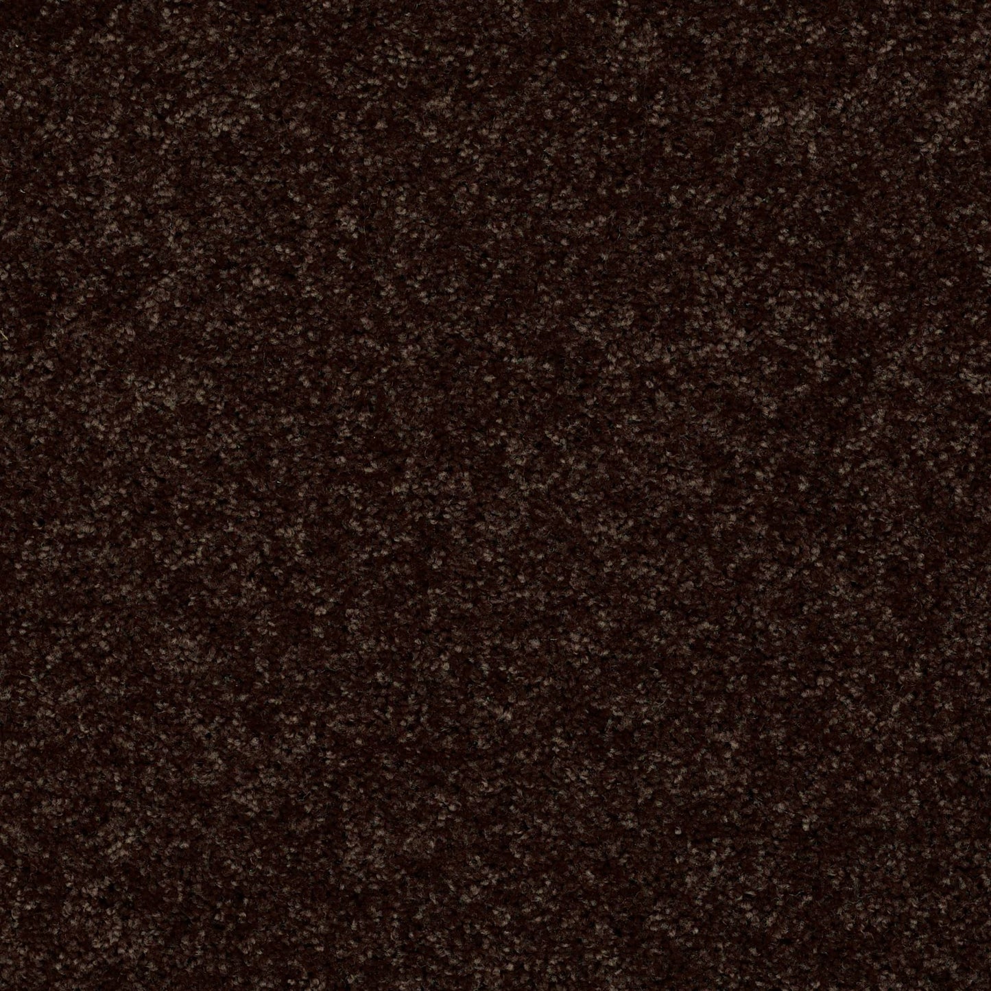PET BCF