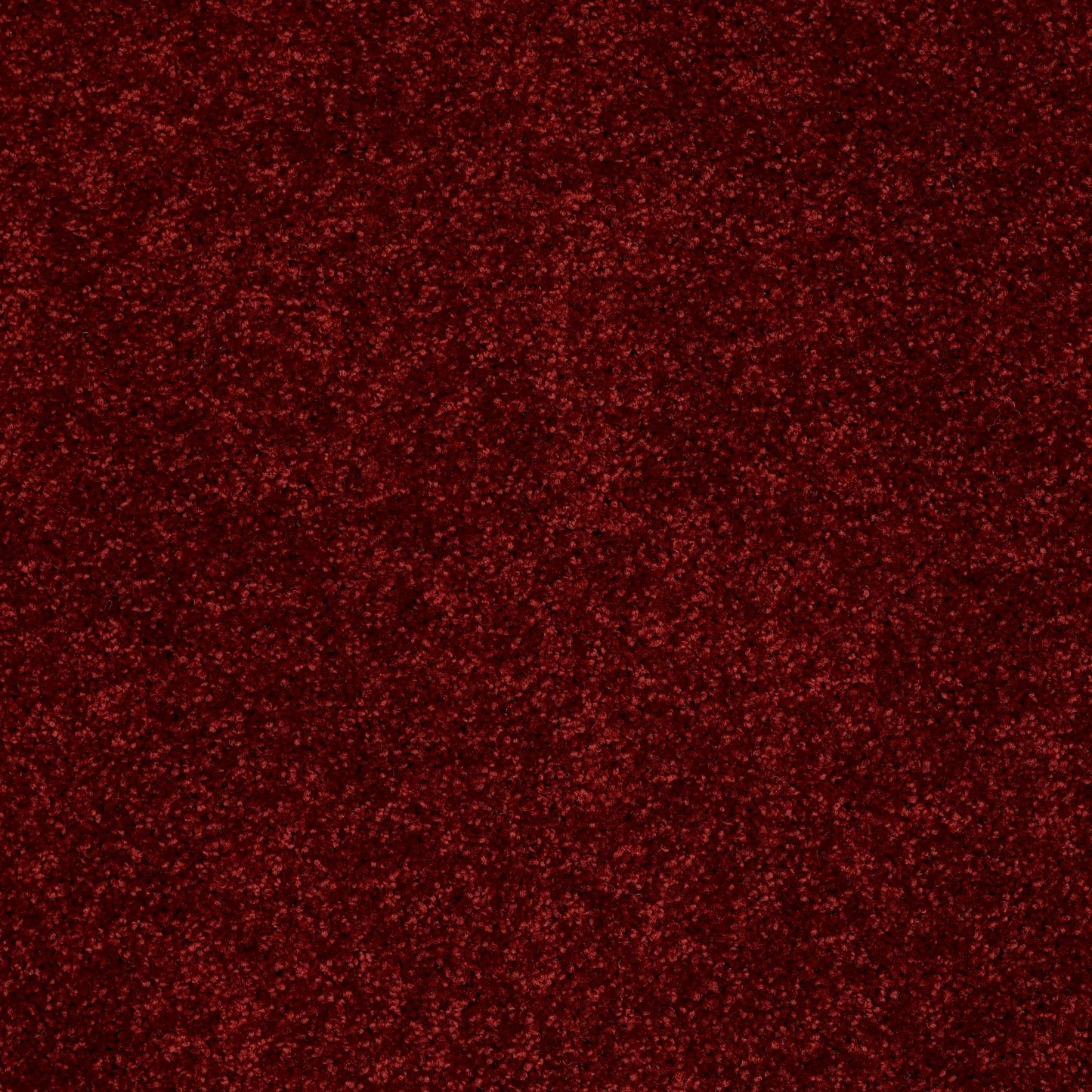PET BCF