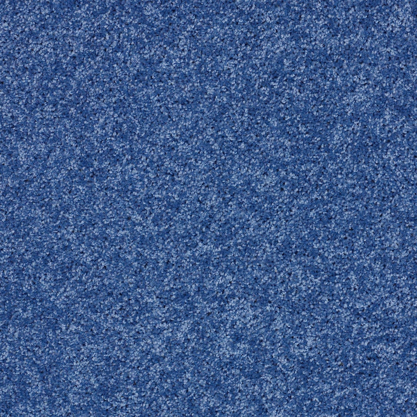 PET BCF