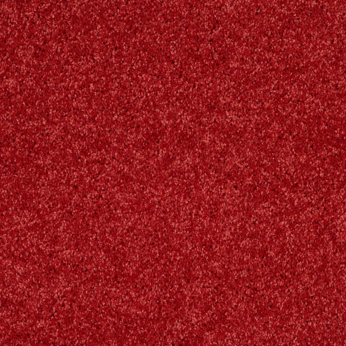 PET BCF