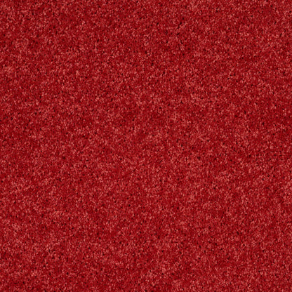 PET BCF