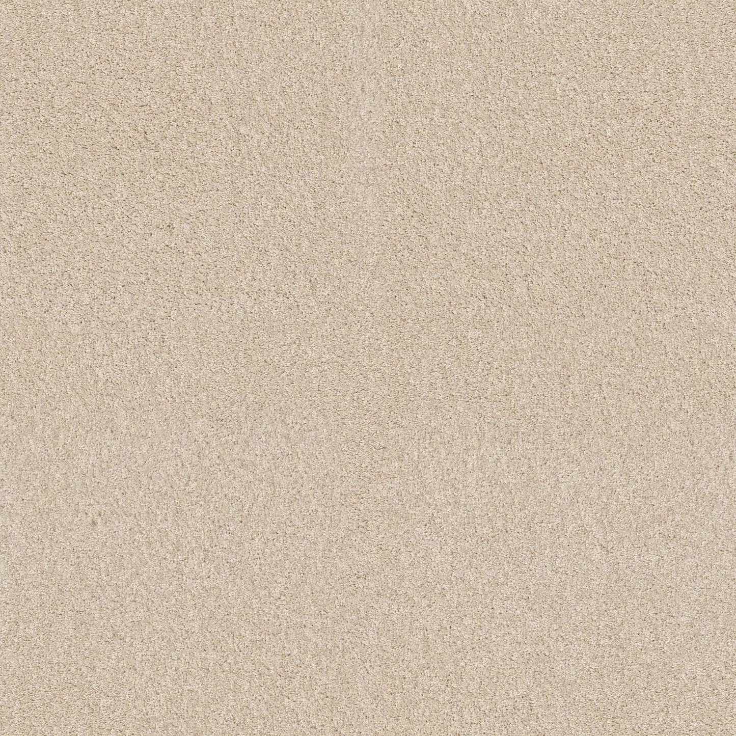 TEXTURE BCF
