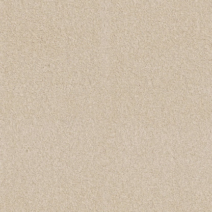 TEXTURE BCF