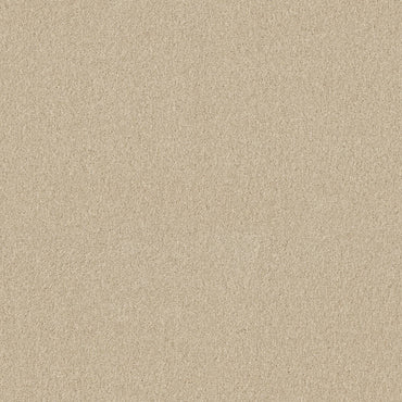 TEXTURE BCF