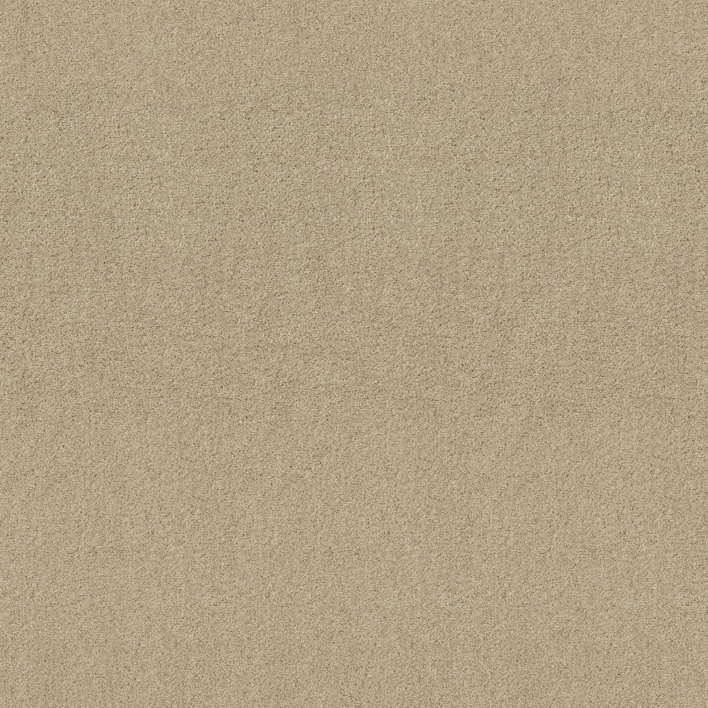 TEXTURE BCF