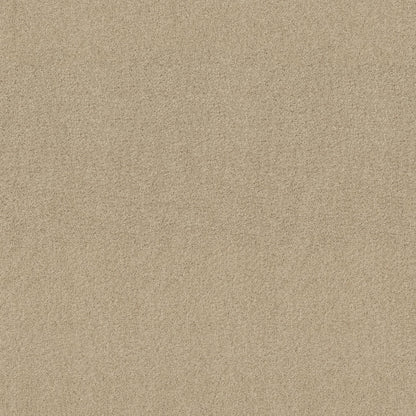 TEXTURE BCF
