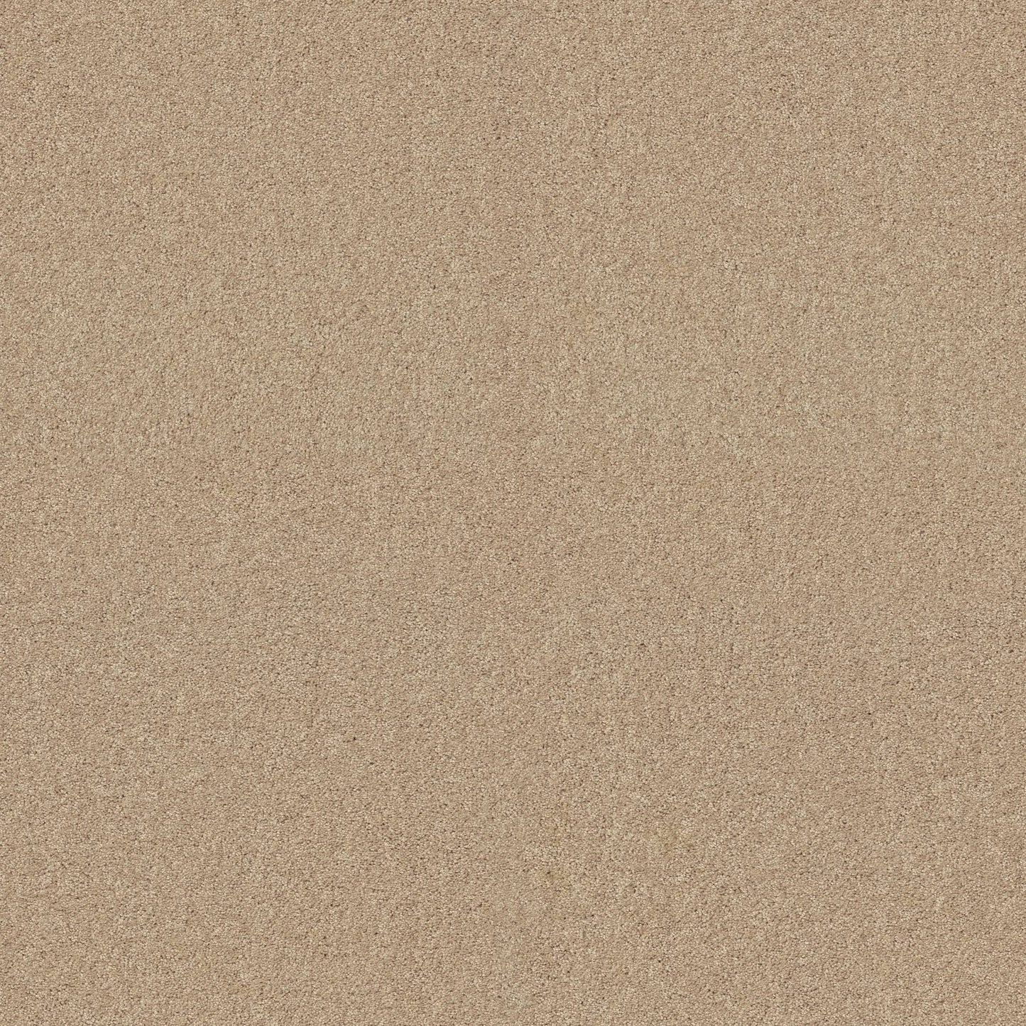 TEXTURE BCF