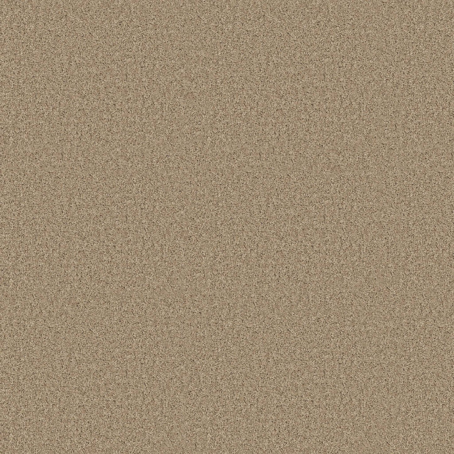 TEXTURE BCF