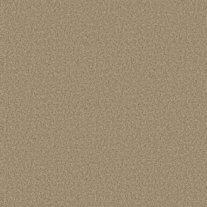 TEXTURE BCF