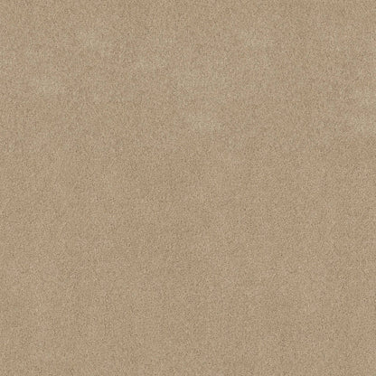 TEXTURE BCF