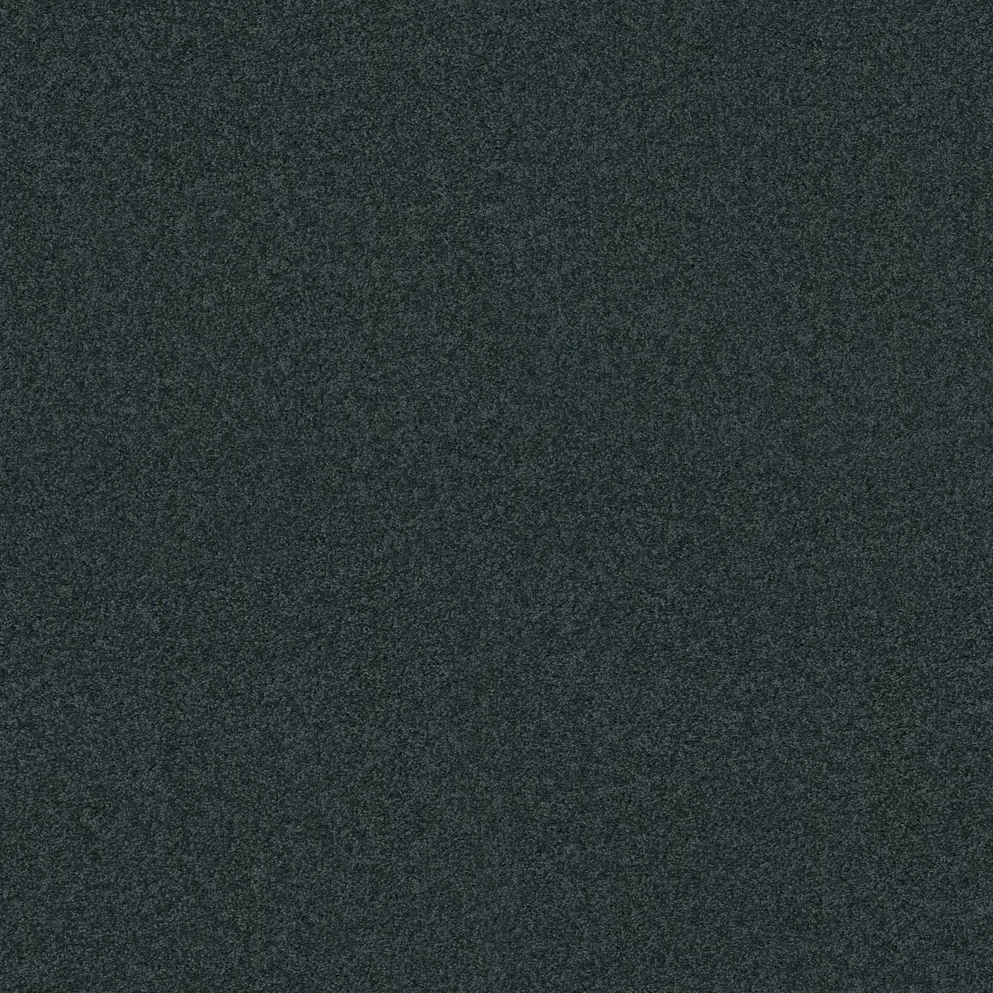 TEXTURE BCF