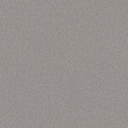 TEXTURE BCF