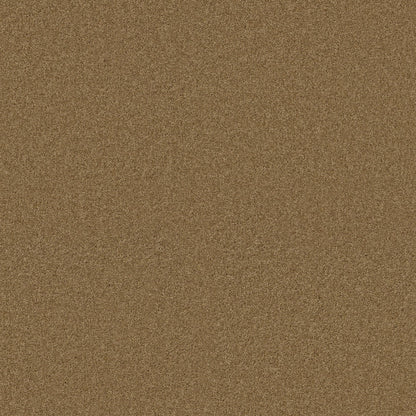 TEXTURE BCF