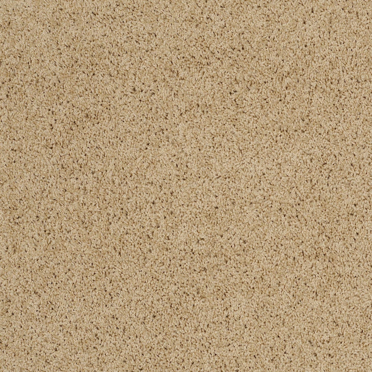TEXTURE BCF