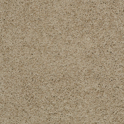TEXTURE BCF