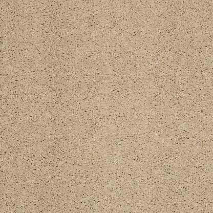 TEXTURE BCF