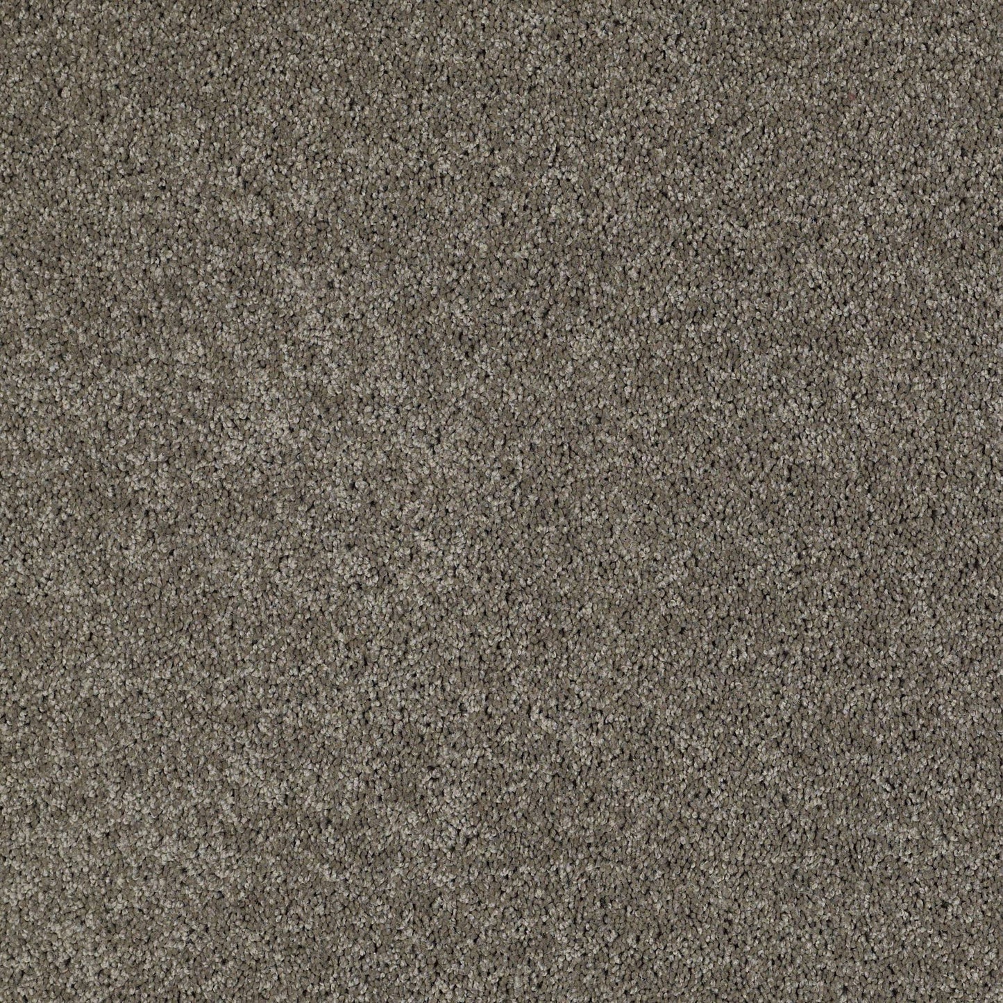 TEXTURE BCF