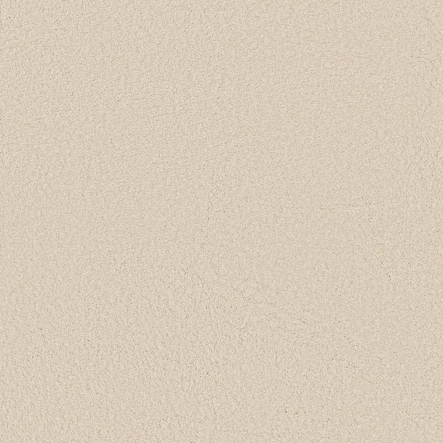 TEXTURE BCF