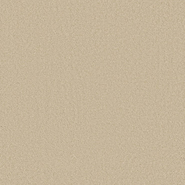 TEXTURE BCF