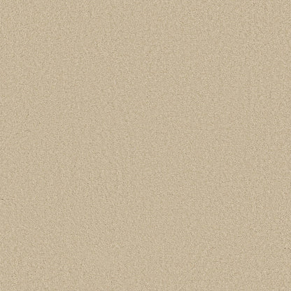 TEXTURE BCF