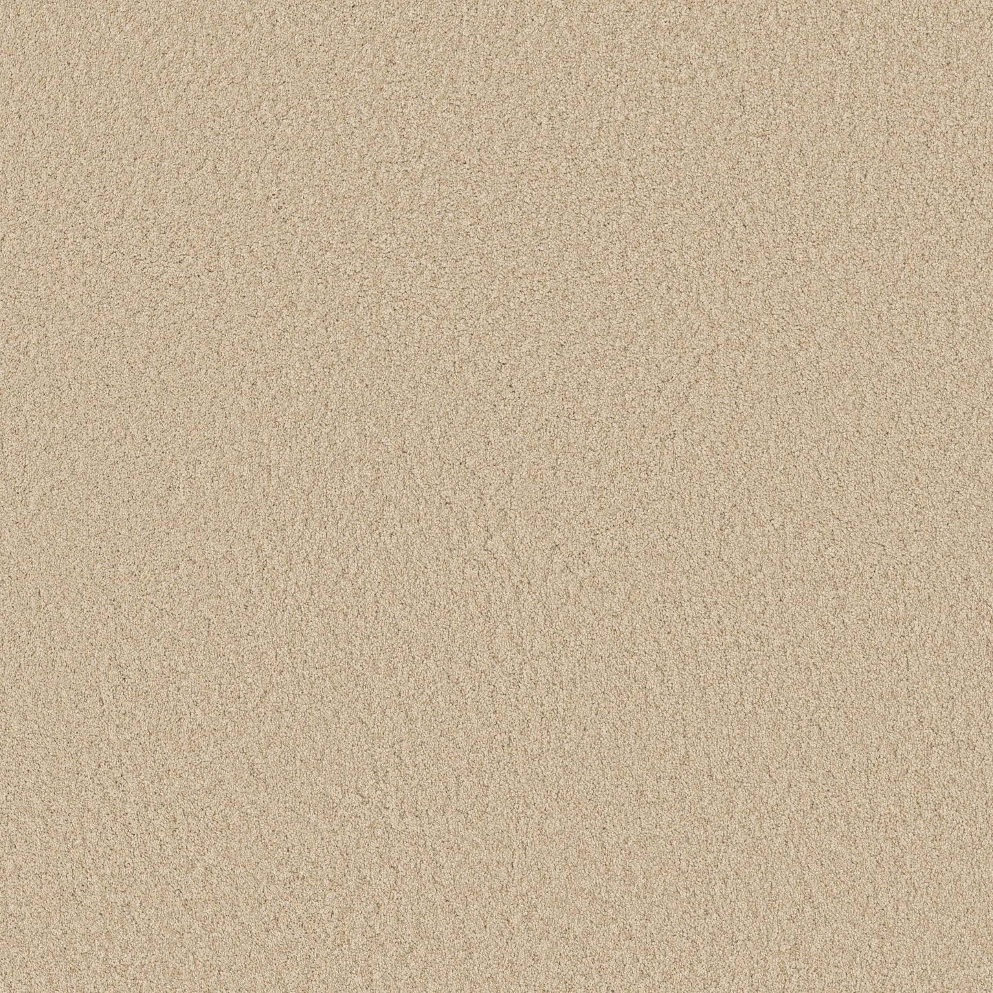 TEXTURE BCF