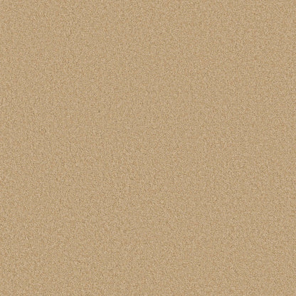 TEXTURE BCF