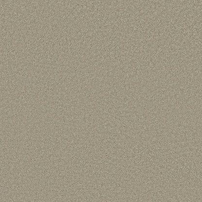 TEXTURE BCF