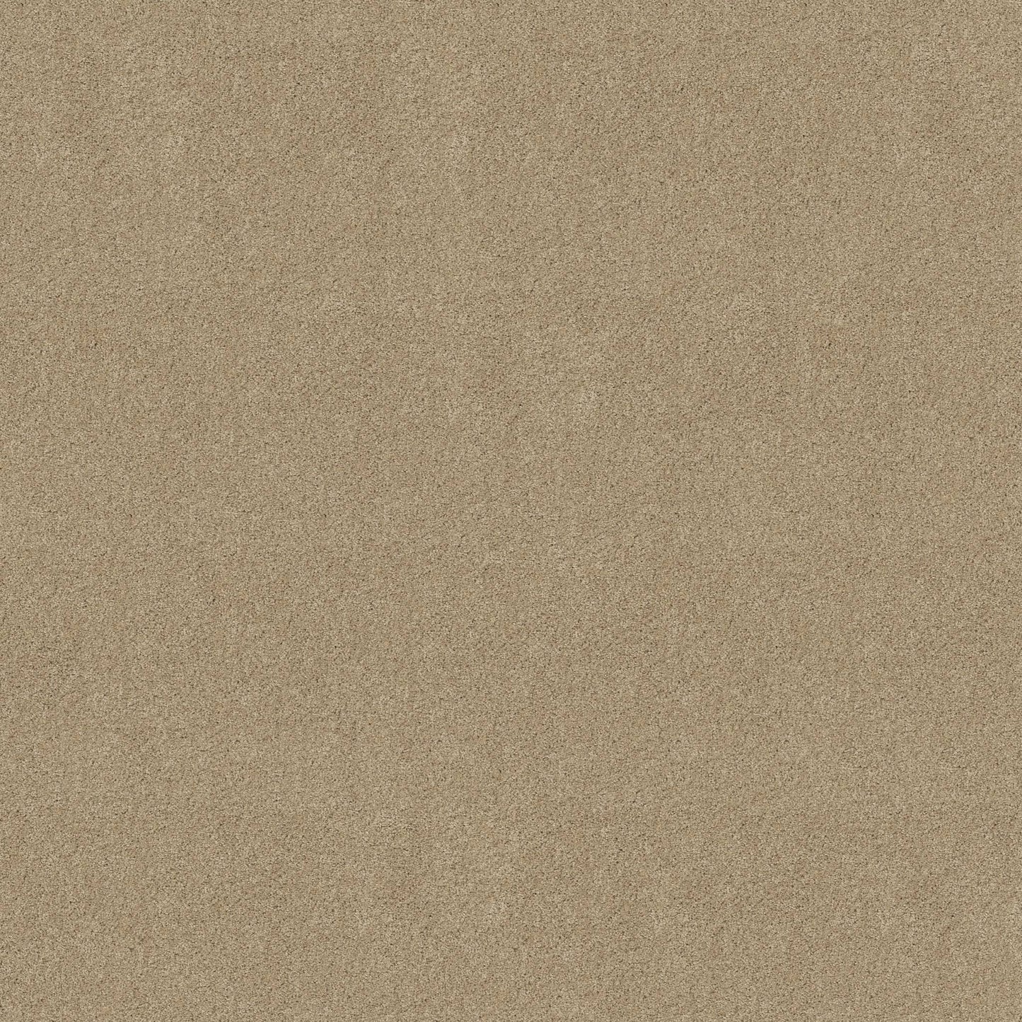 TEXTURE BCF