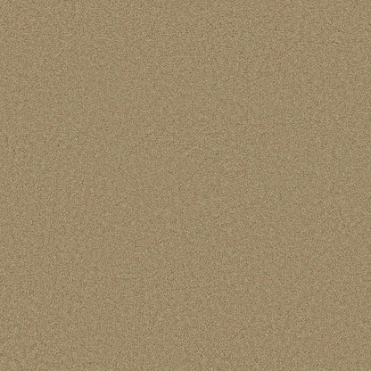 TEXTURE BCF