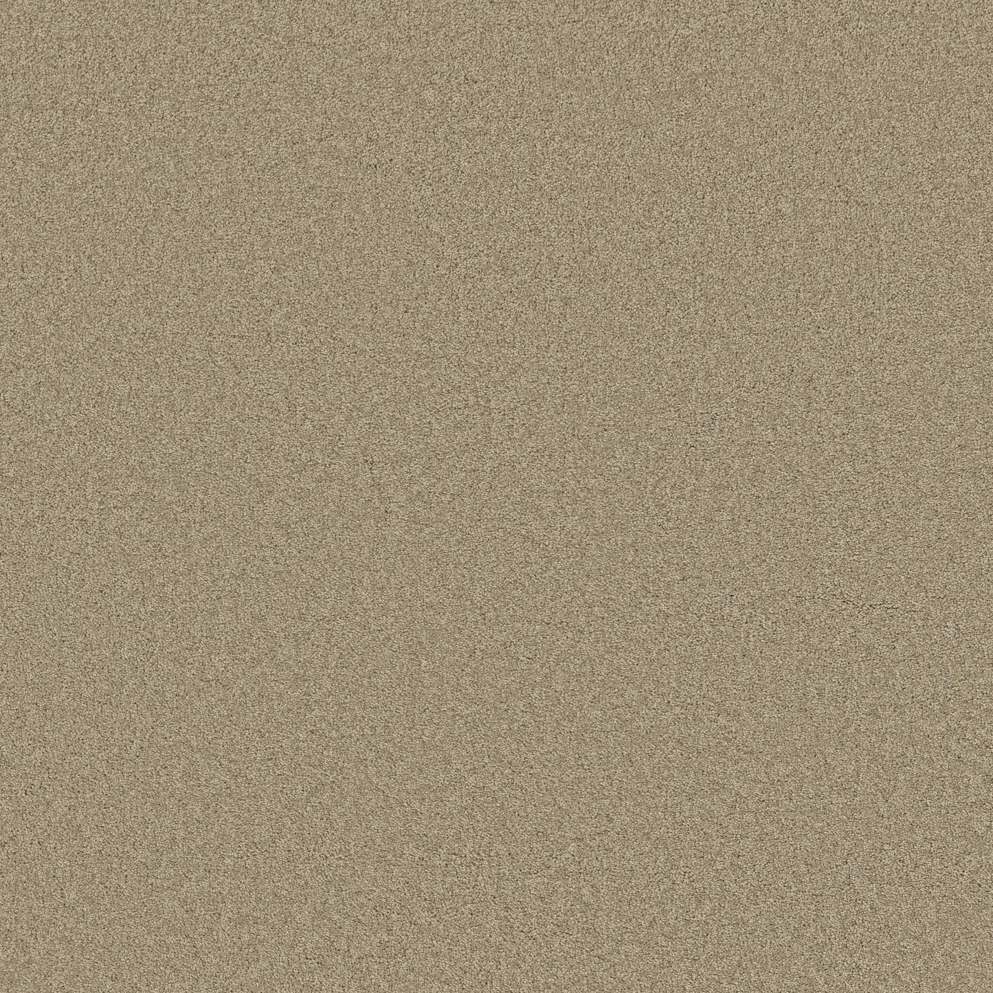 TEXTURE BCF