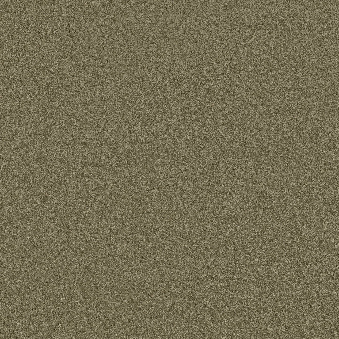 TEXTURE BCF