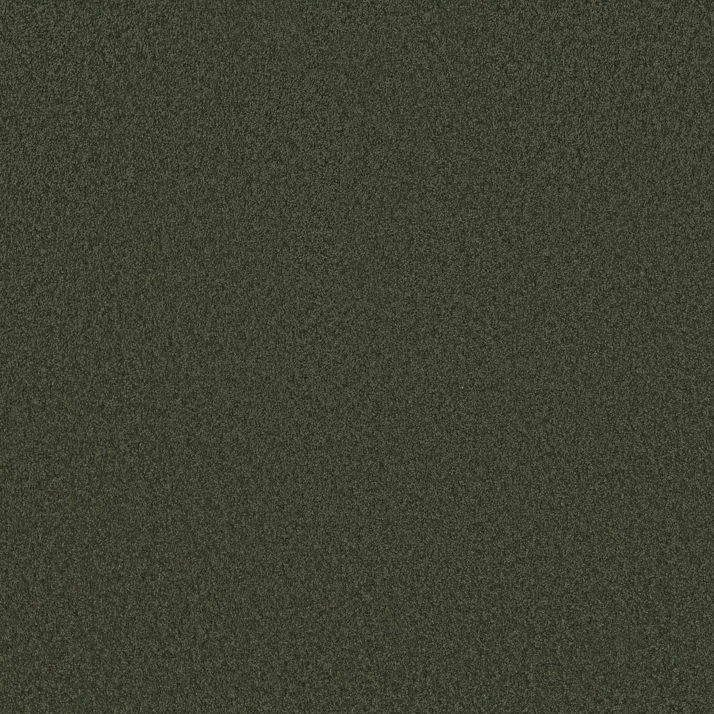 TEXTURE BCF