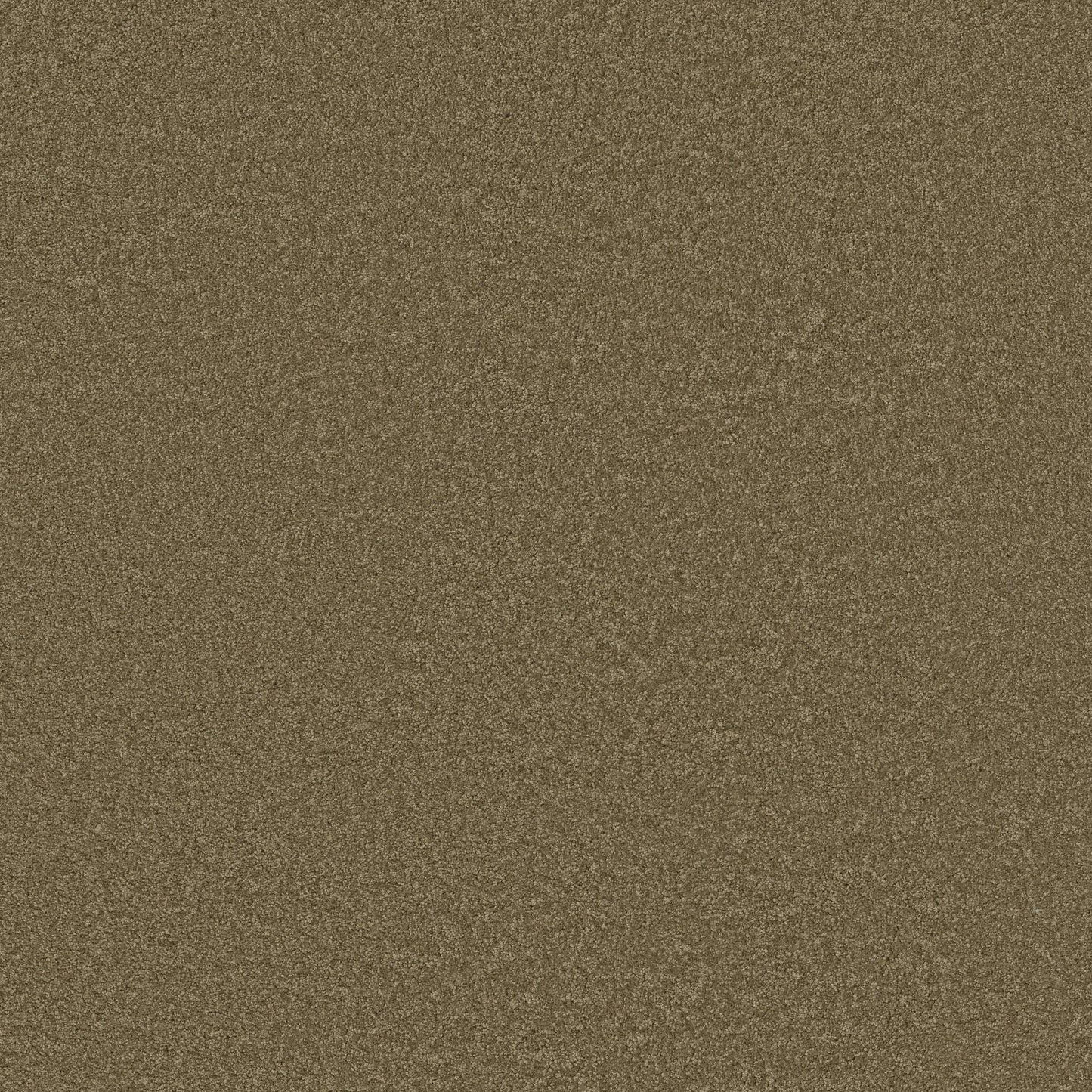 TEXTURE BCF