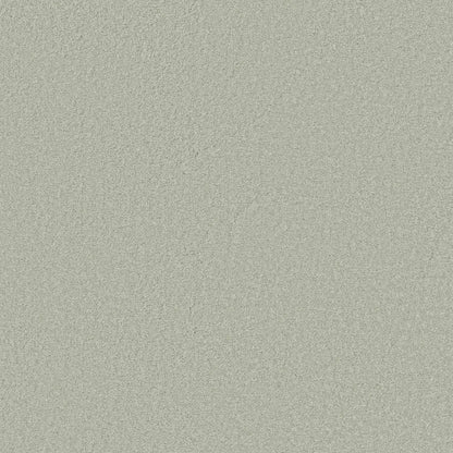 TEXTURE BCF