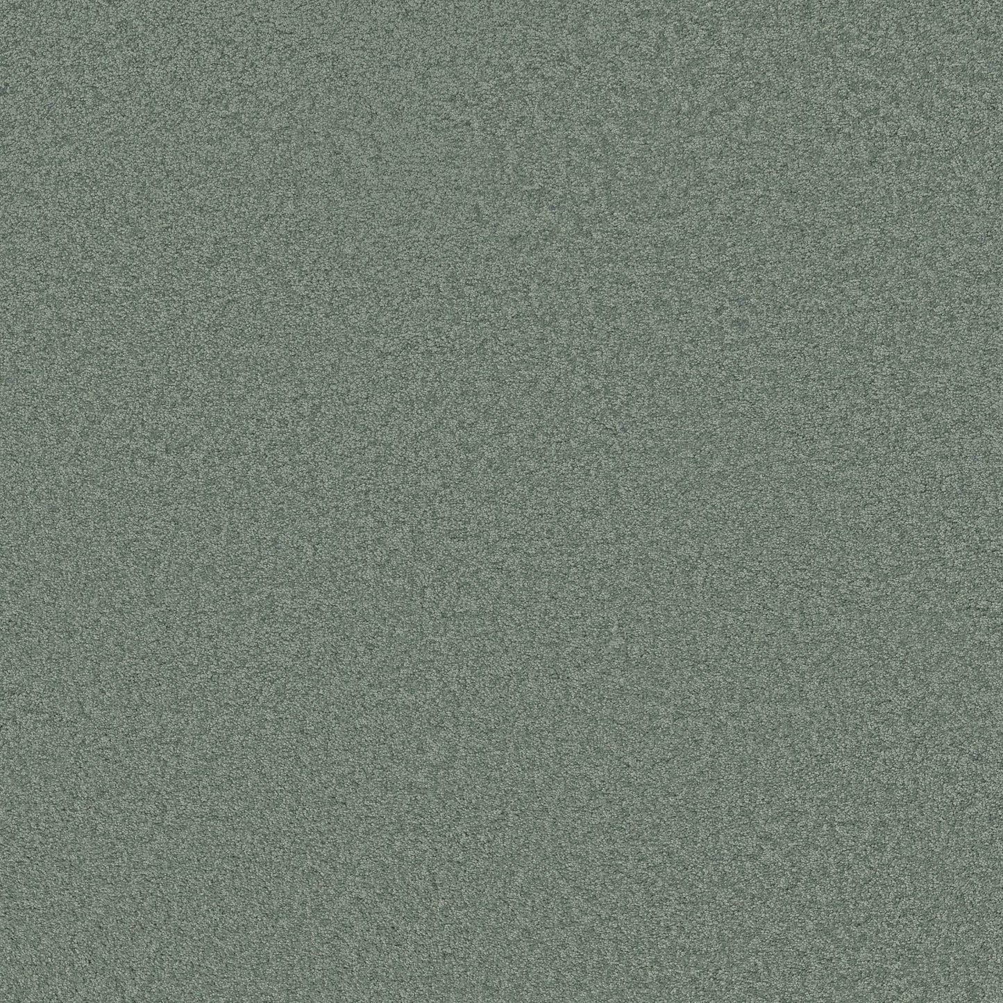 TEXTURE BCF