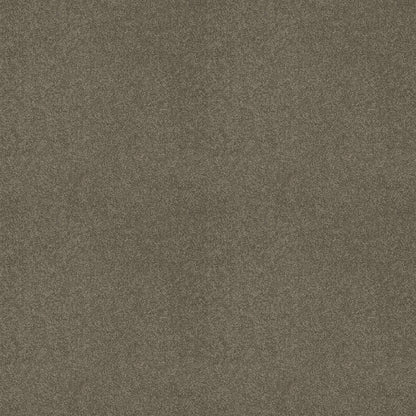 TEXTURE BCF
