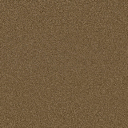 TEXTURE BCF