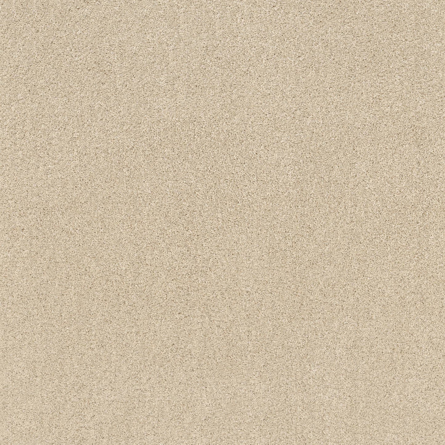 TEXTURE BCF