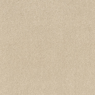 TEXTURE BCF