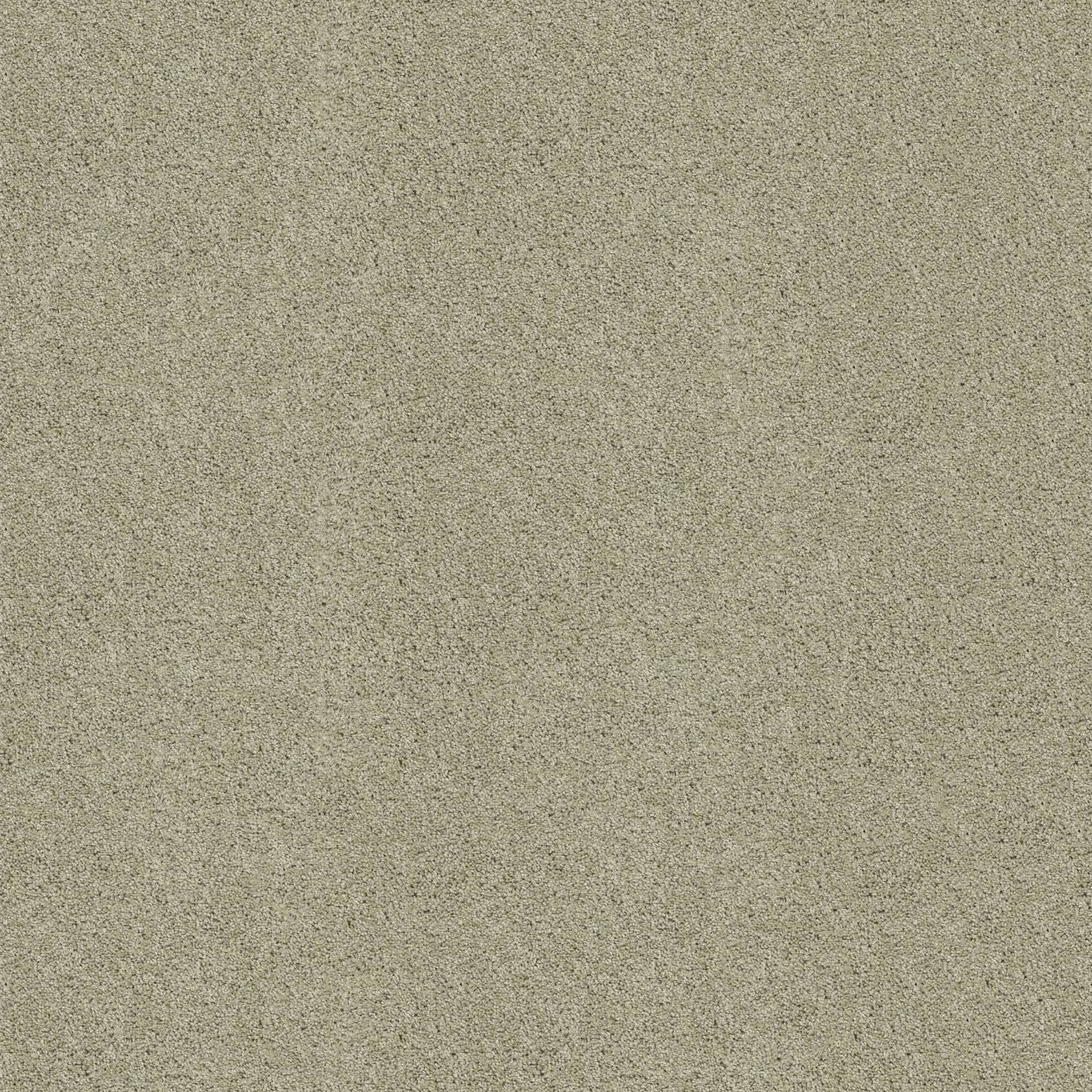 TEXTURE BCF