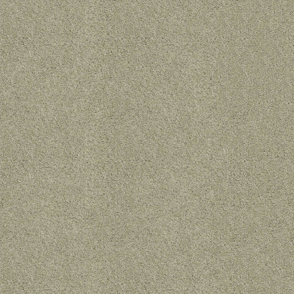 TEXTURE BCF