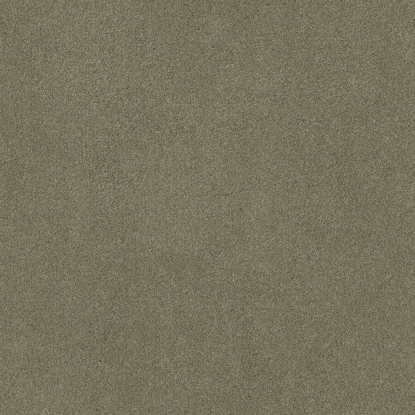 TEXTURE BCF