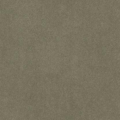 TEXTURE BCF