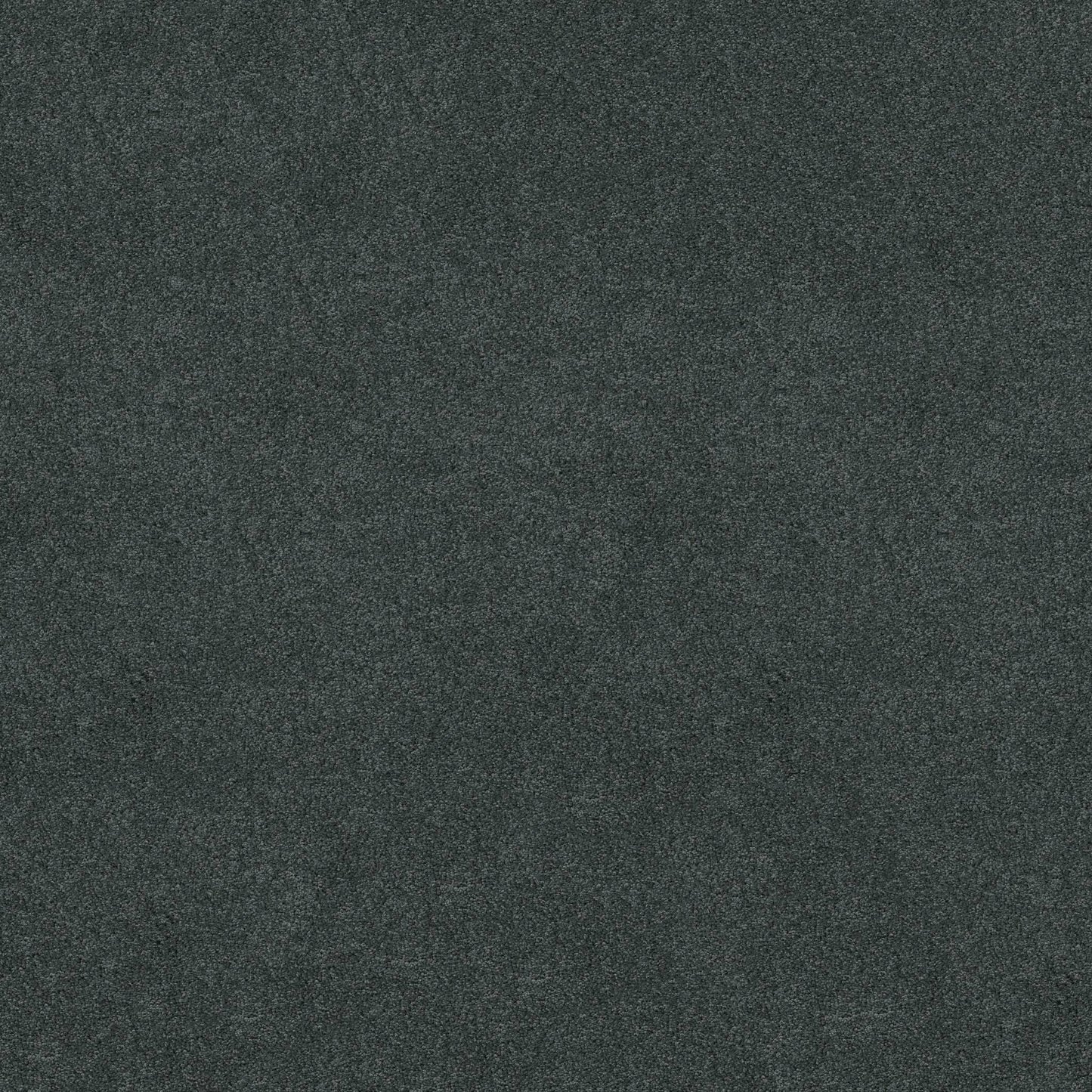 TEXTURE BCF